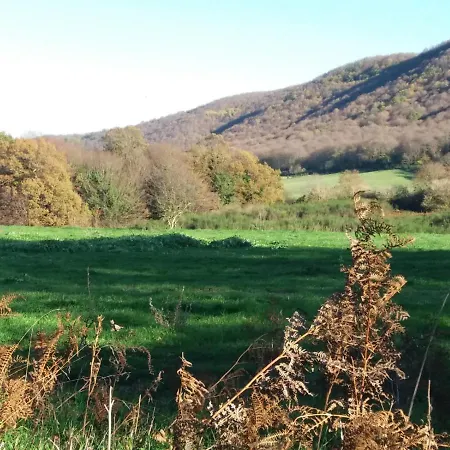 Apartament Da Bina *