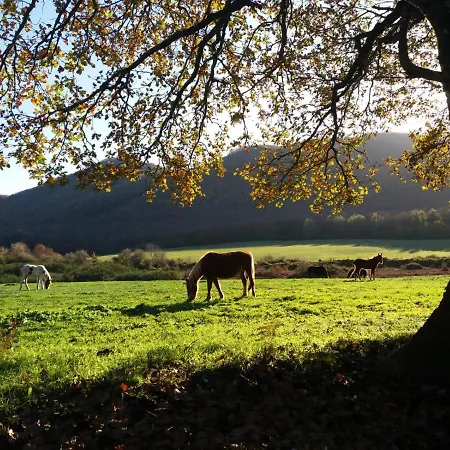 Apartament Da Bina *