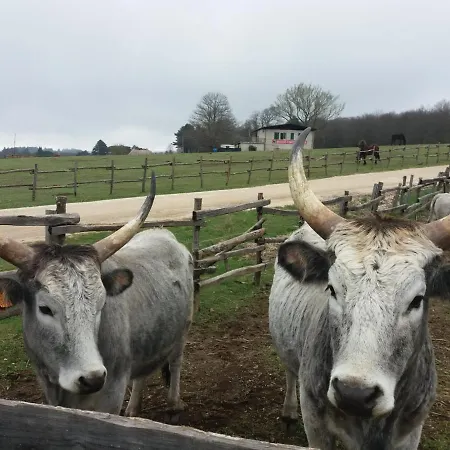 Da Bina Apartament *